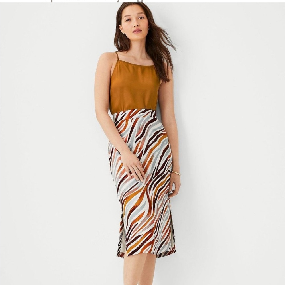Size 4 Ann Taylor Skirt